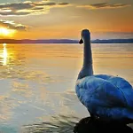 Panorama Appartement Siófok