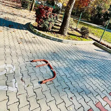 Panoráma *
