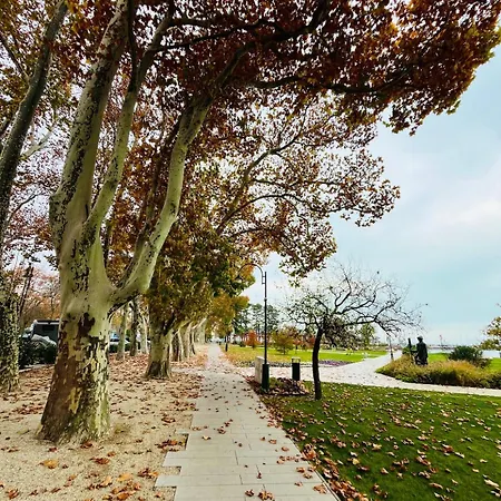 Panorama * Σίοφοκ