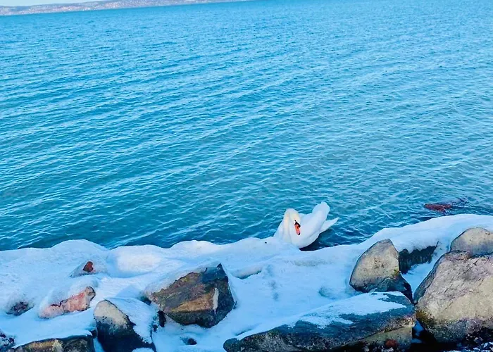 Panorama * シオーフォク