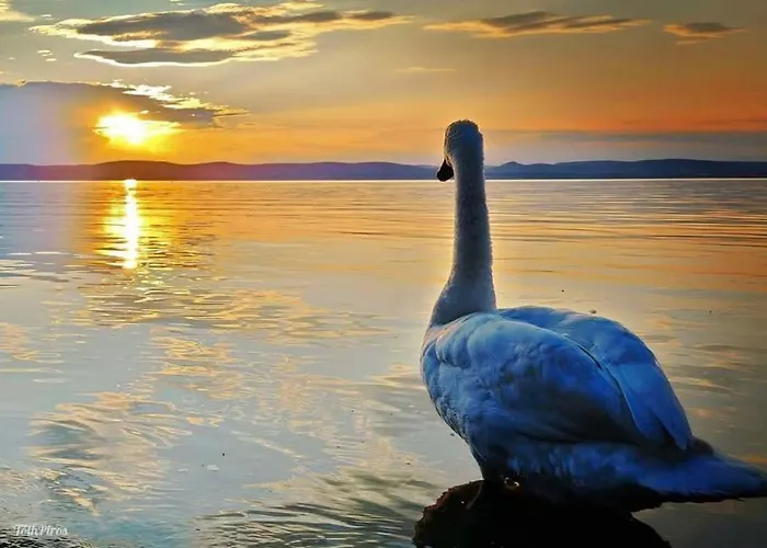 Panorama 아파트 시오포크