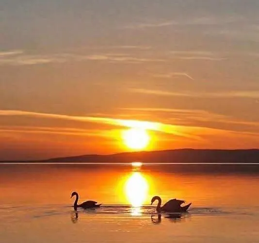 Panorama アパート