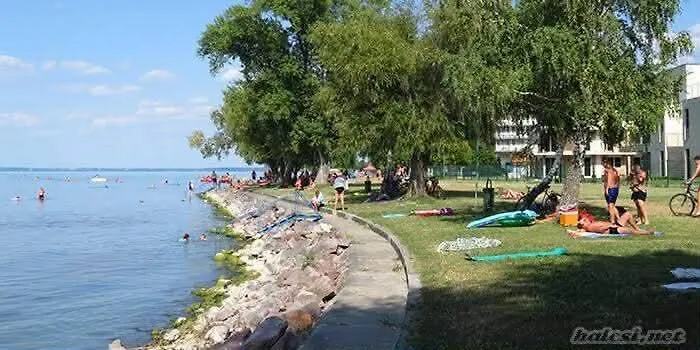 Panorama *